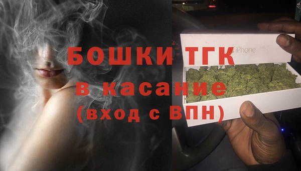 дживик Арсеньев