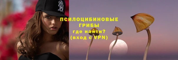 бошки Армянск