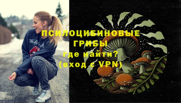 дживик Арсеньев