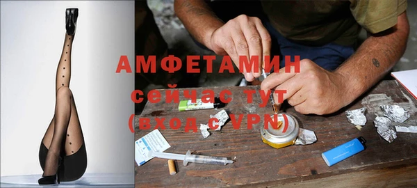a pvp Аркадак