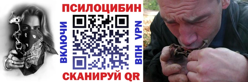 Галлюциногенные грибы Psilocybe  Саки 